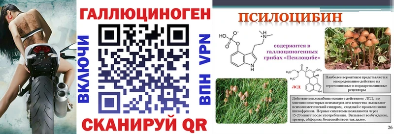 Галлюциногенные грибы ЛСД  Купить где  Менделеевск 